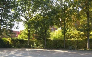 Klosterpark 