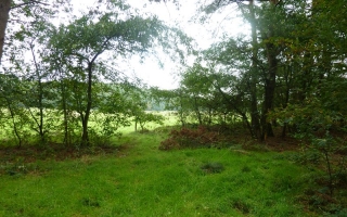 Segebergerheide-WildesSH